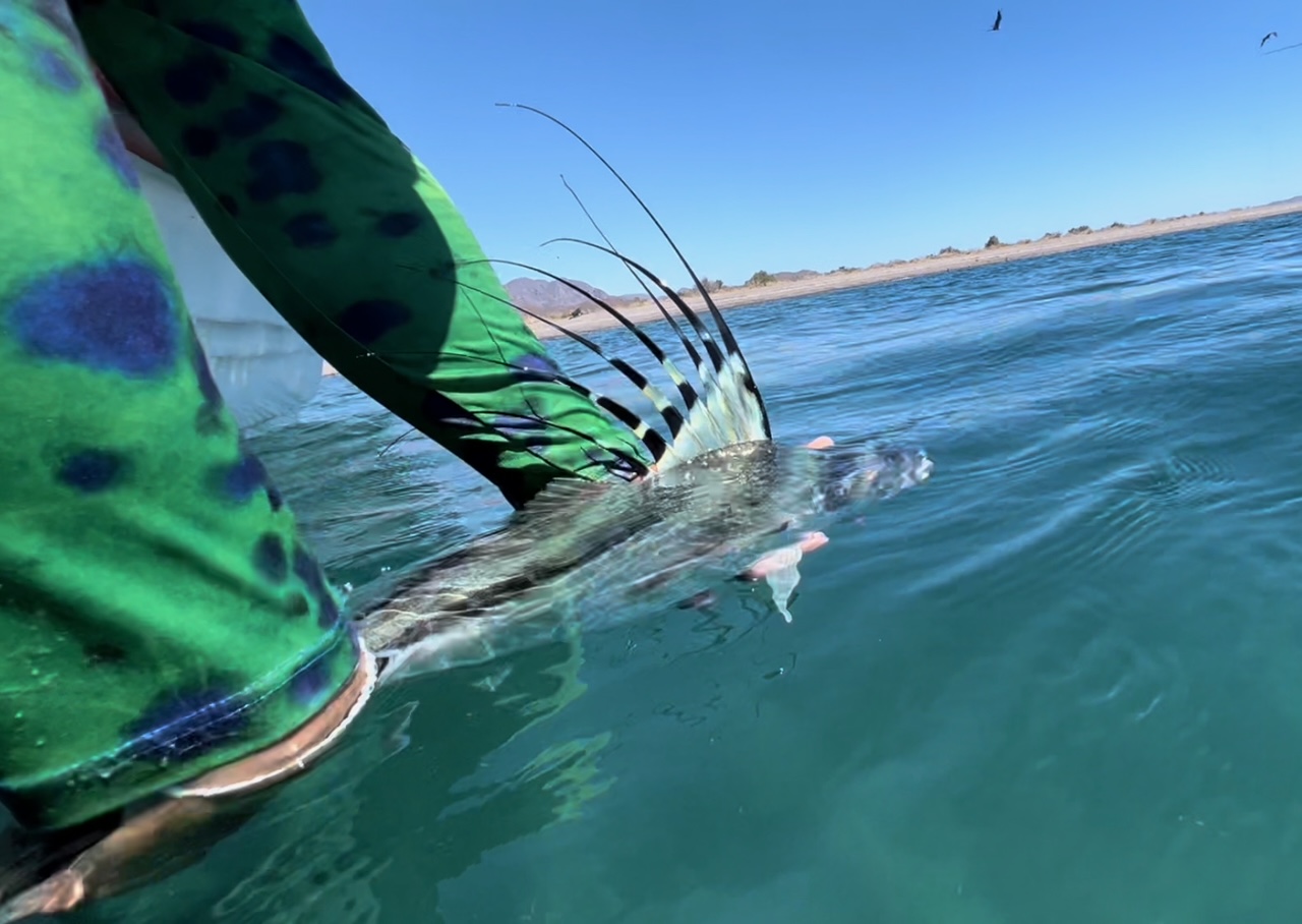 Fishing Baja Mexico