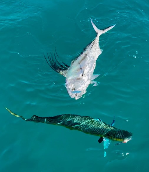 Fishing Baja Mexico