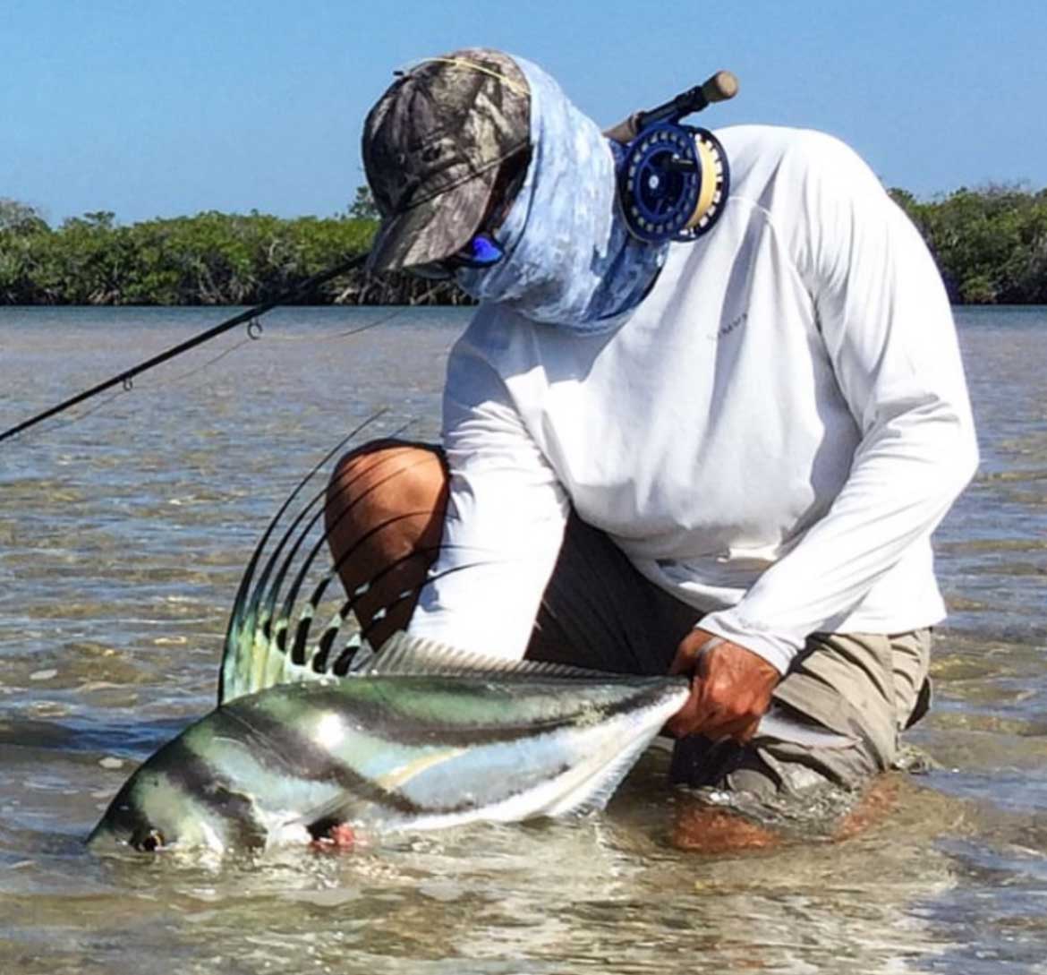 Rooster Fish Baja Mexico